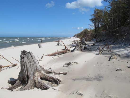 Plaża w Łebie w pobliżu Ruchomych Wydm. Oryginalny JPEG prosto z aparatu, Maj 2011